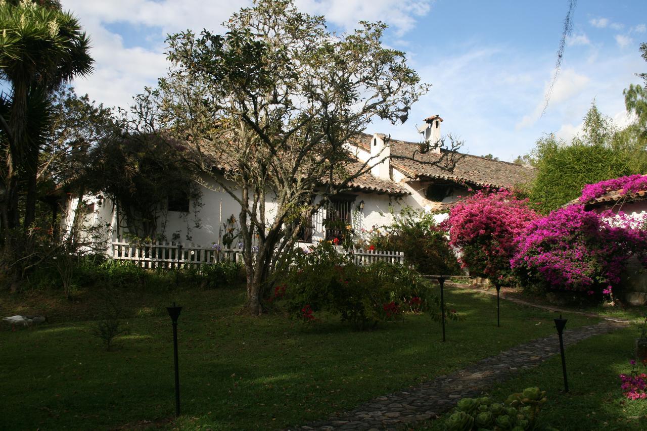 Hotel Hacienda Baza Тибана Экстерьер фото