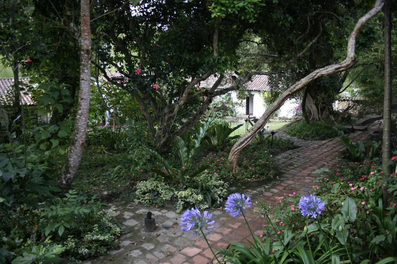 Hotel Hacienda Baza Тибана Экстерьер фото