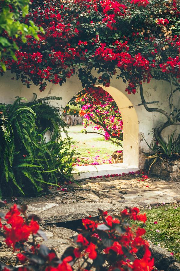 Hotel Hacienda Baza Тибана Экстерьер фото